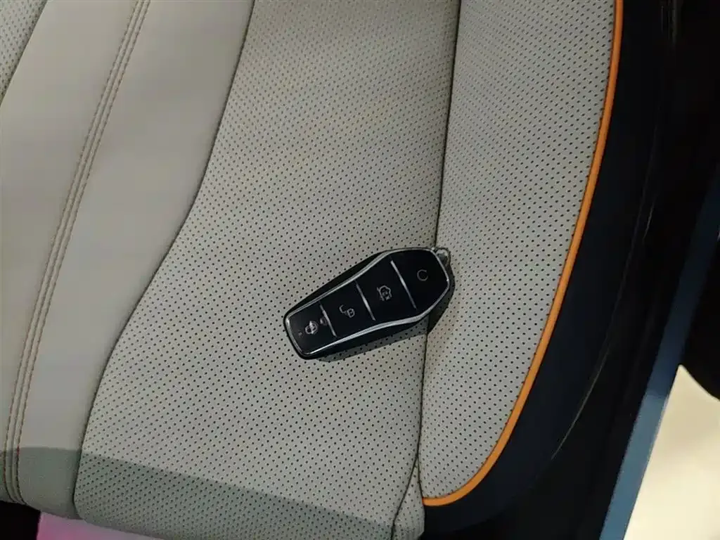 BYD PLUS New Energy — фото 4