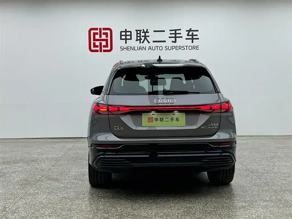 Audi Q5 e-tron 2023 из CN, фото 10