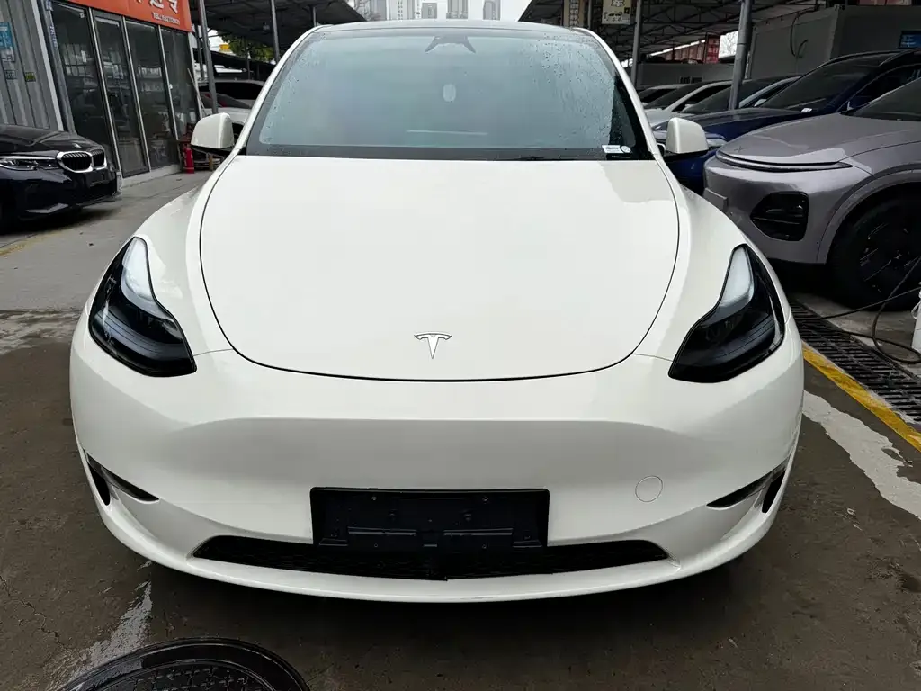 Tesla Model Y — фото 6