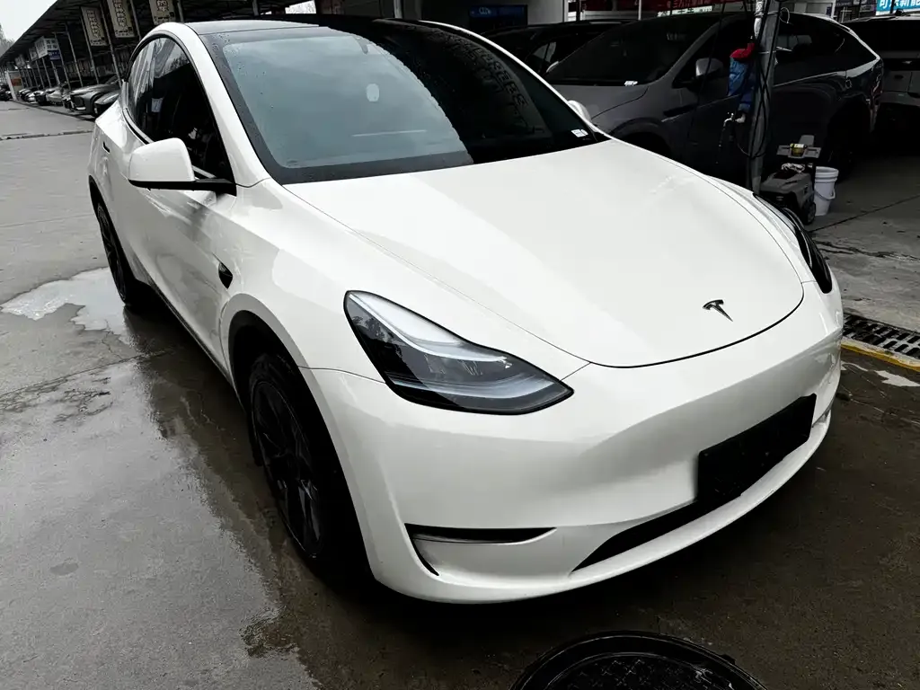 Tesla Model Y — фото 8