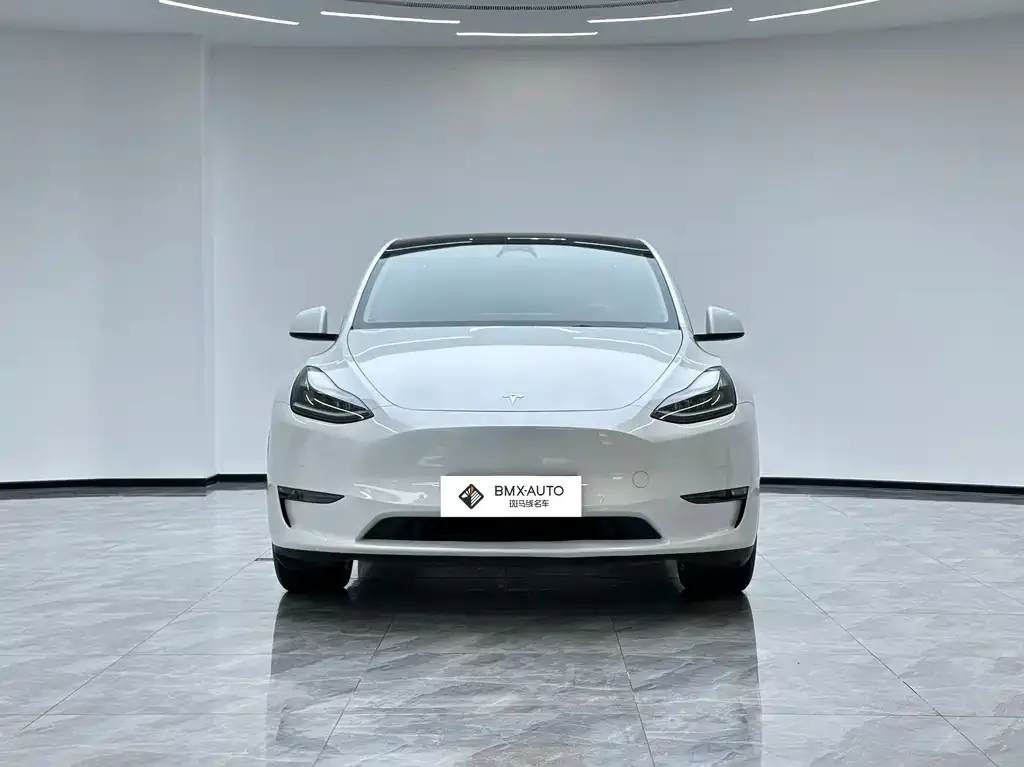 Tesla Model Y — фото 2
