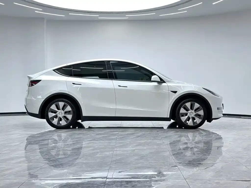 Tesla Model Y — фото 10