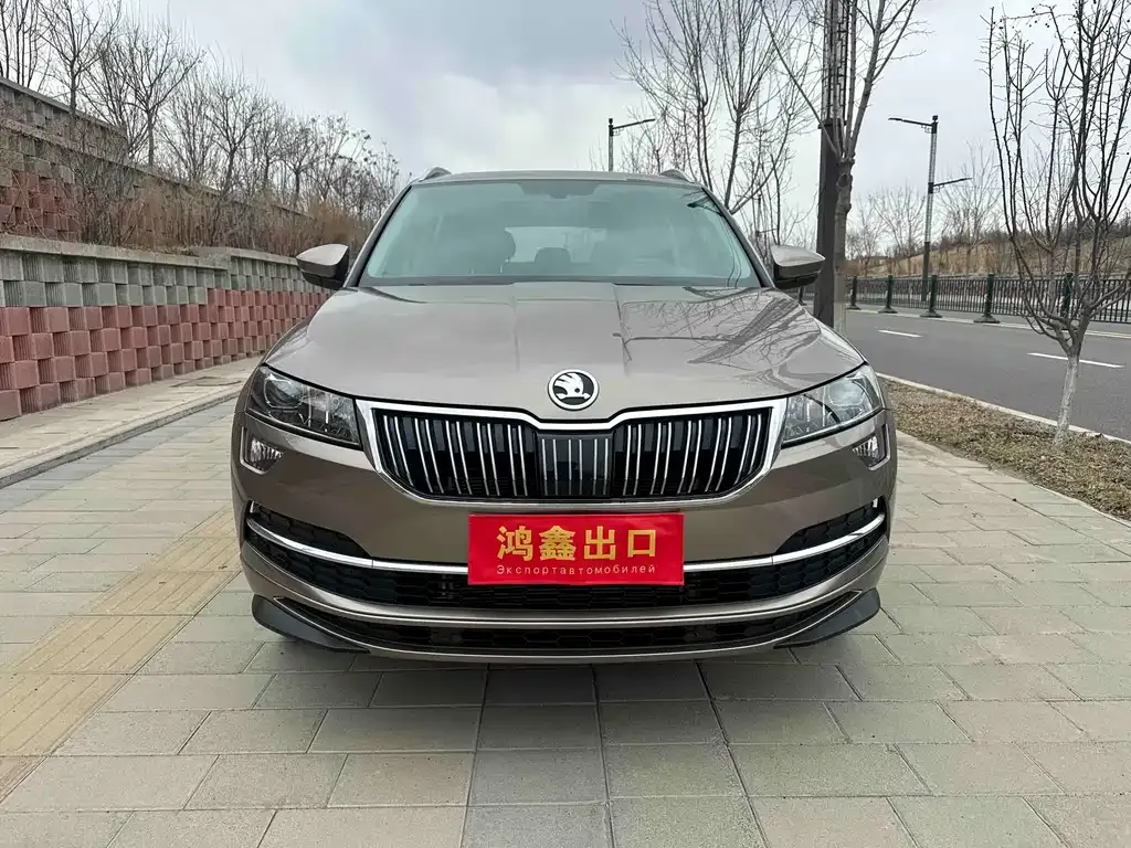 Skoda Karoq 2022 из CN, фото 6