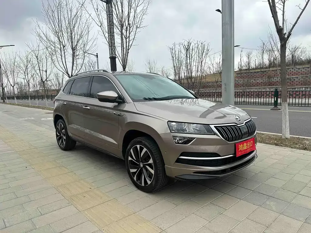 Skoda Karoq 2022 из CN, фото 7