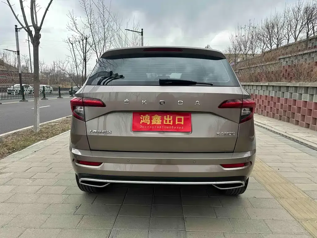 Skoda Karoq 2022 из CN, фото 8