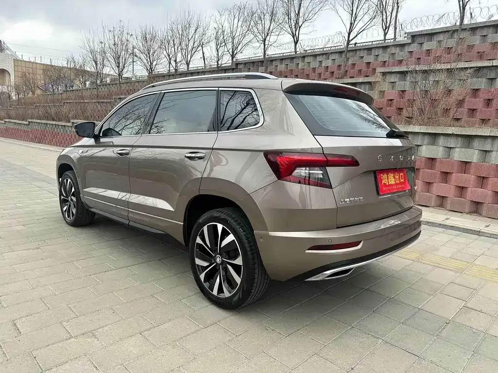 Skoda Karoq 2022 из CN, фото 10