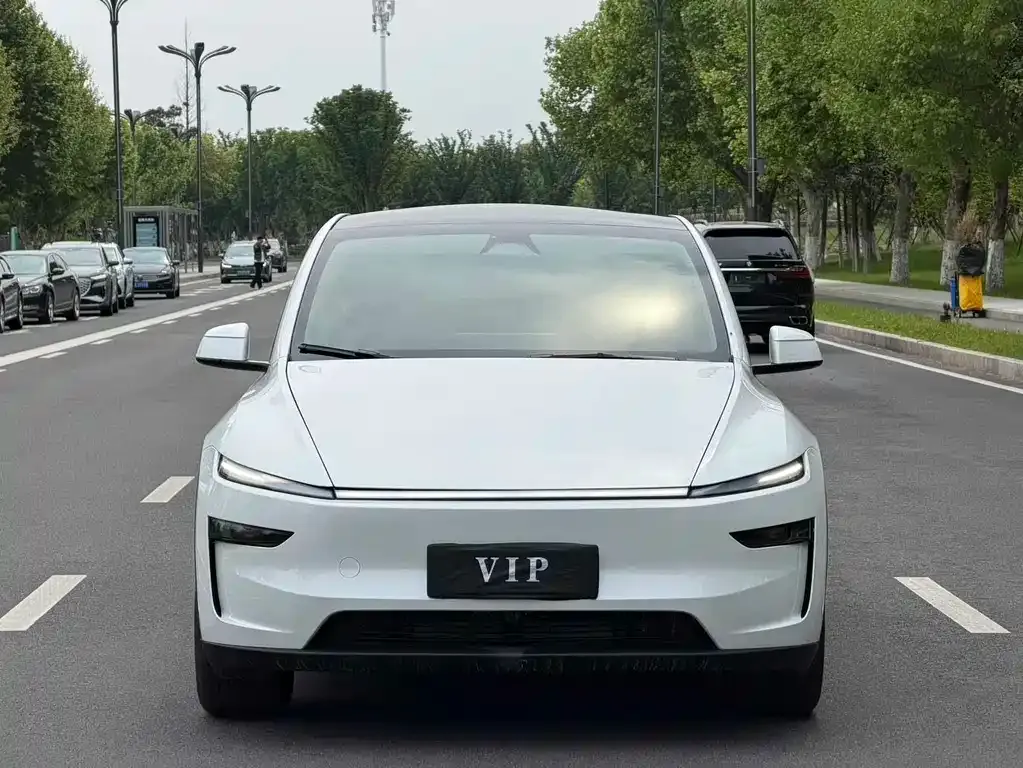 Tesla Model Y — фото 3