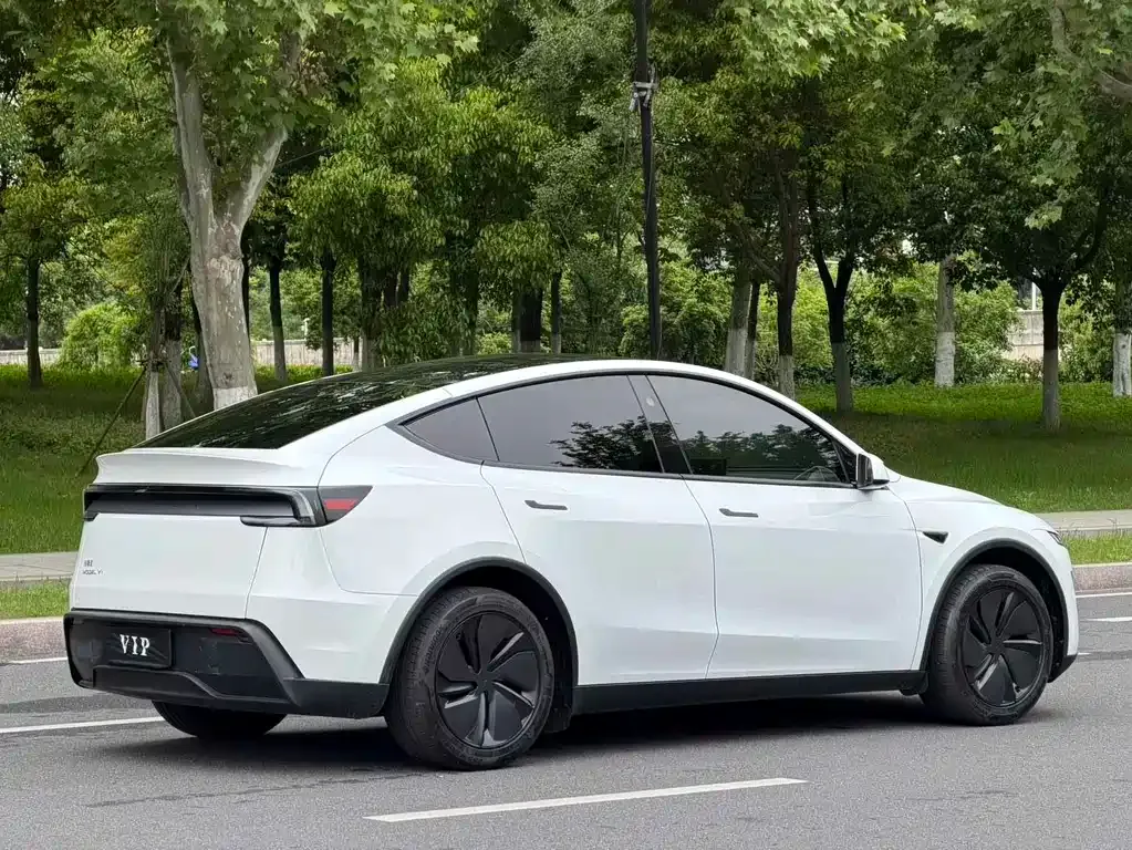 Tesla Model Y — фото 10