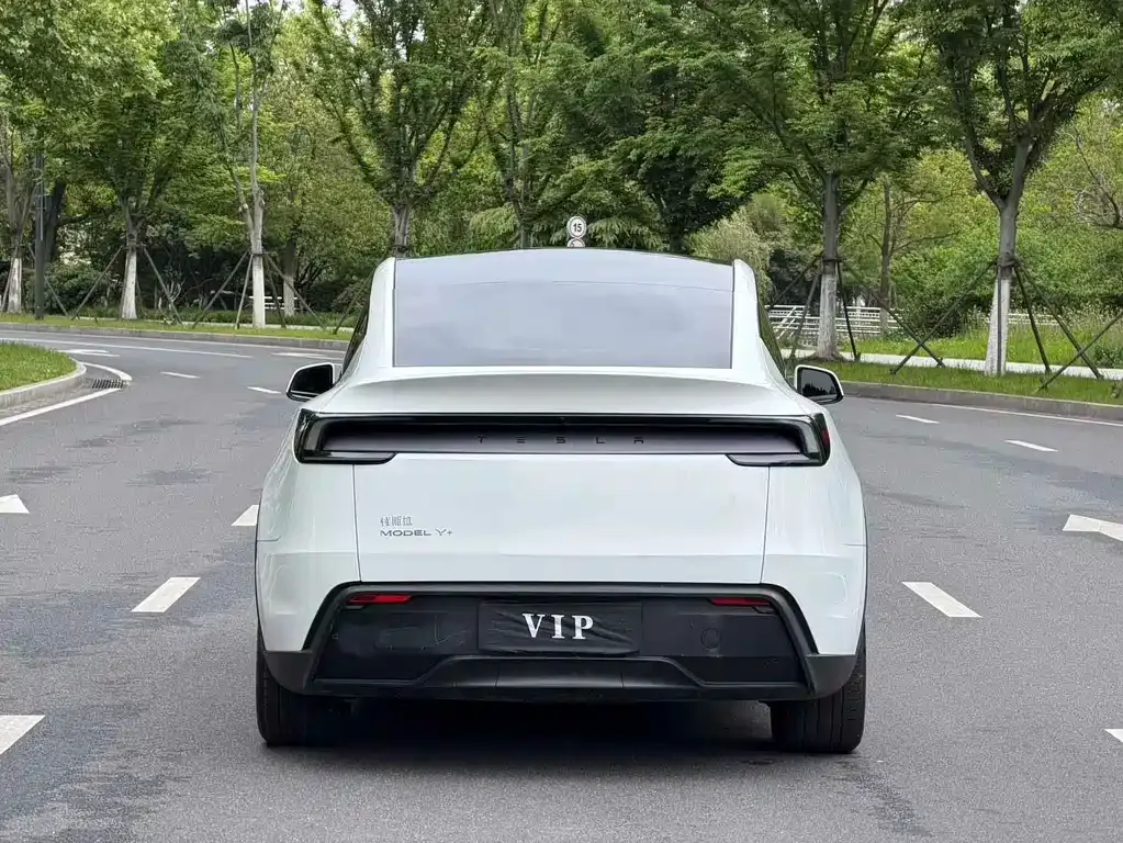 Tesla Model Y — фото 6