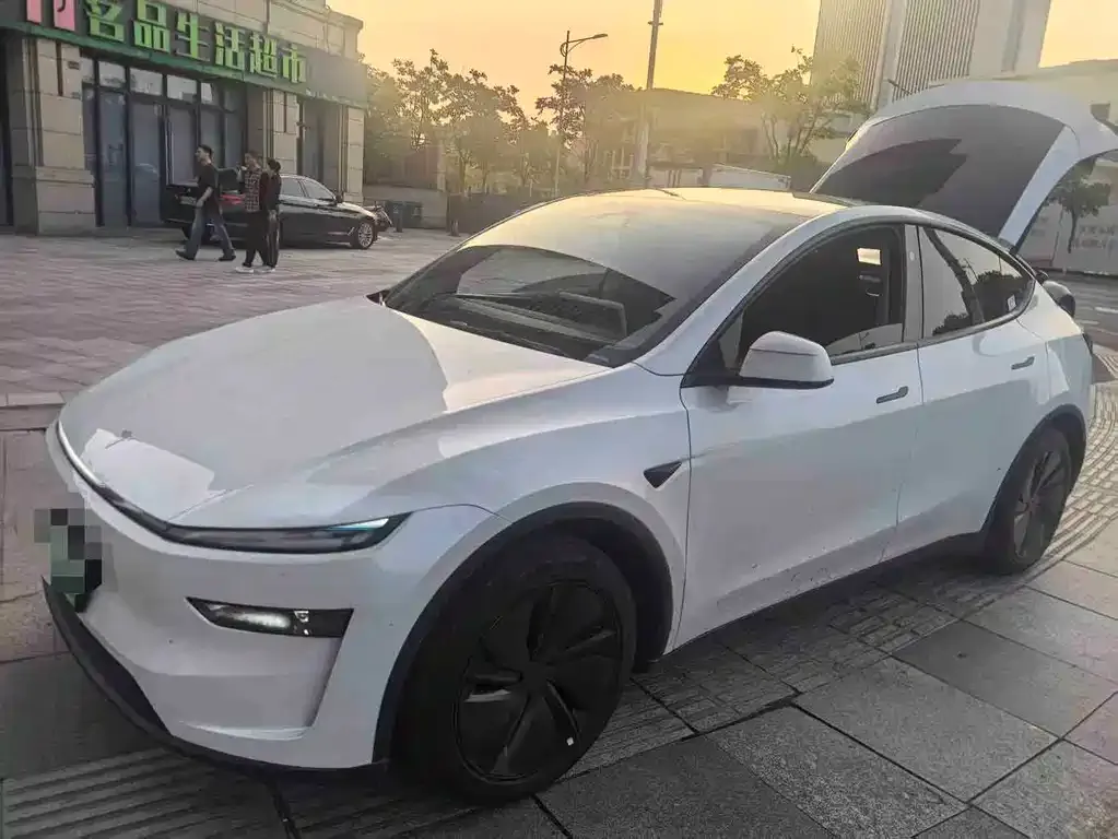 Tesla Model Y — фото 4