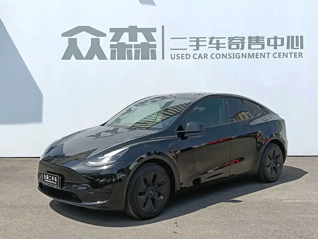 Tesla Model Y — фото 1