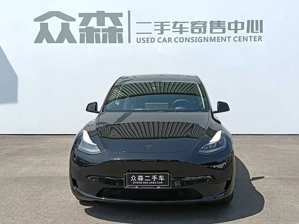 Tesla Model Y — фото 3