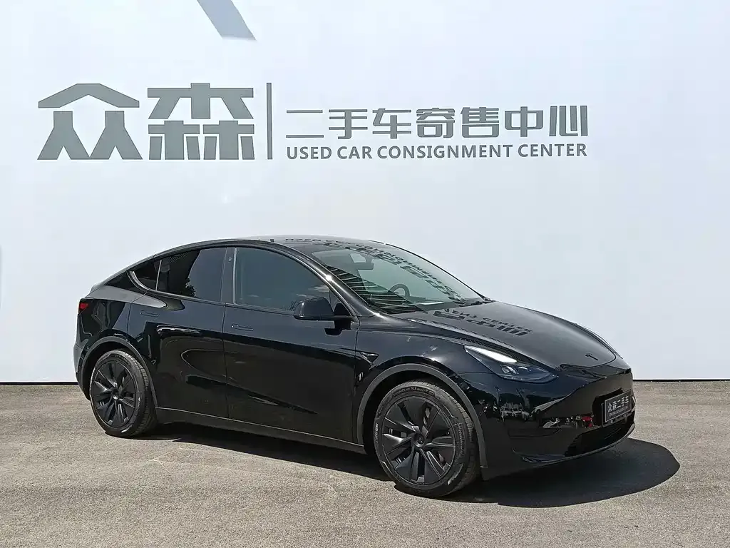 Tesla Model Y — фото 10