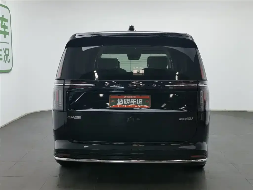 Volvo EM90 2025 из CN, фото 6