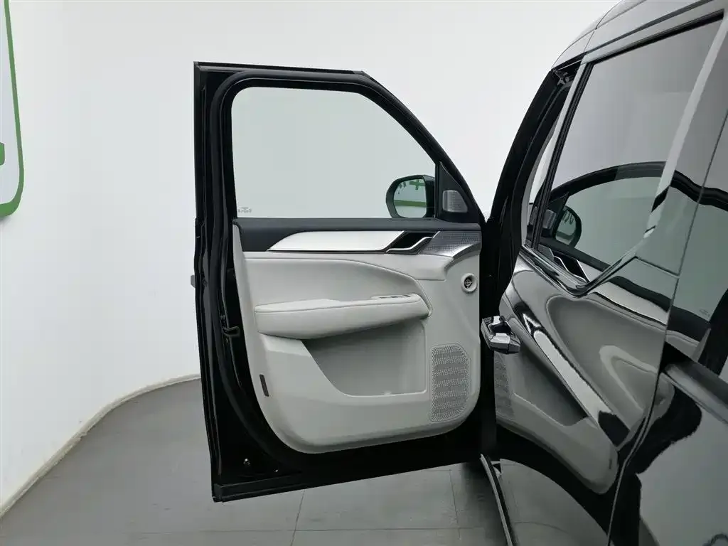 Volvo EM90 2025 из CN, фото 5