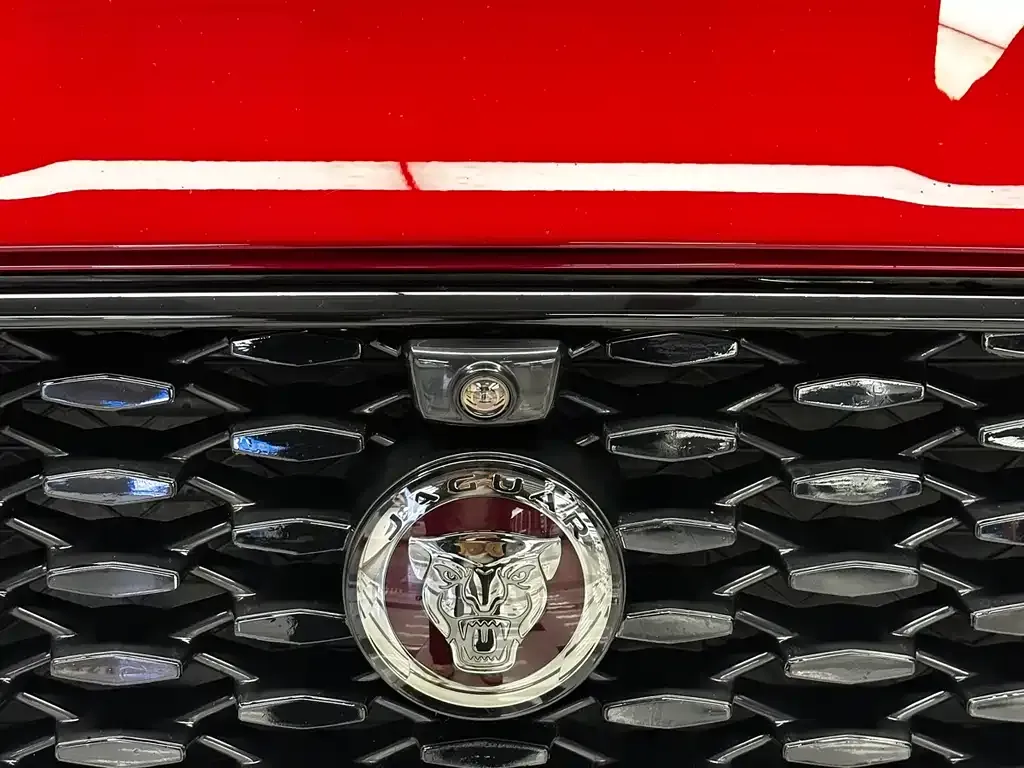 Jaguar F-PACE 2021 из CN, фото 5