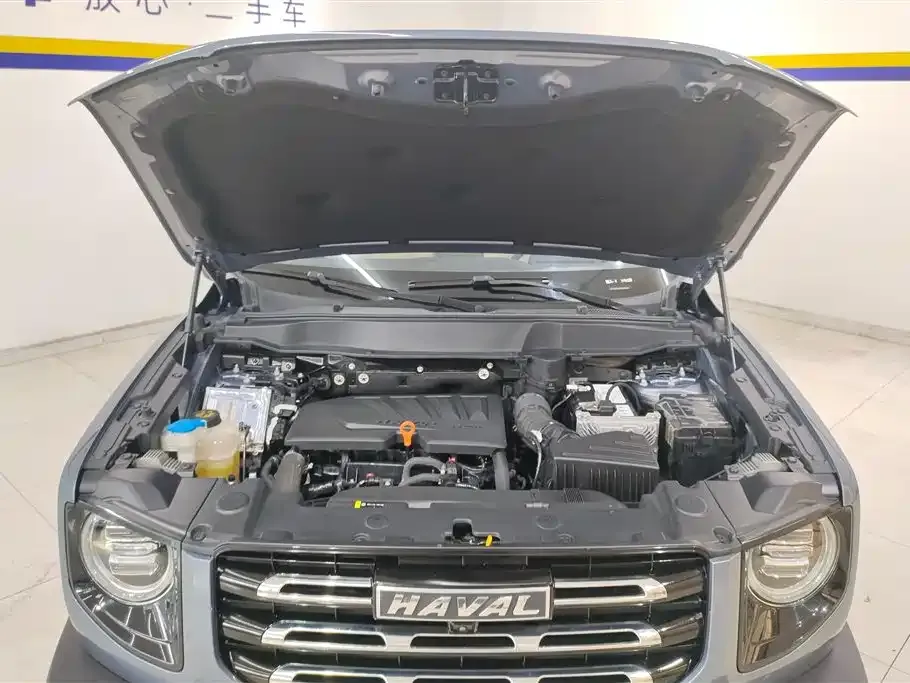 Haval Big Dog — фото 10