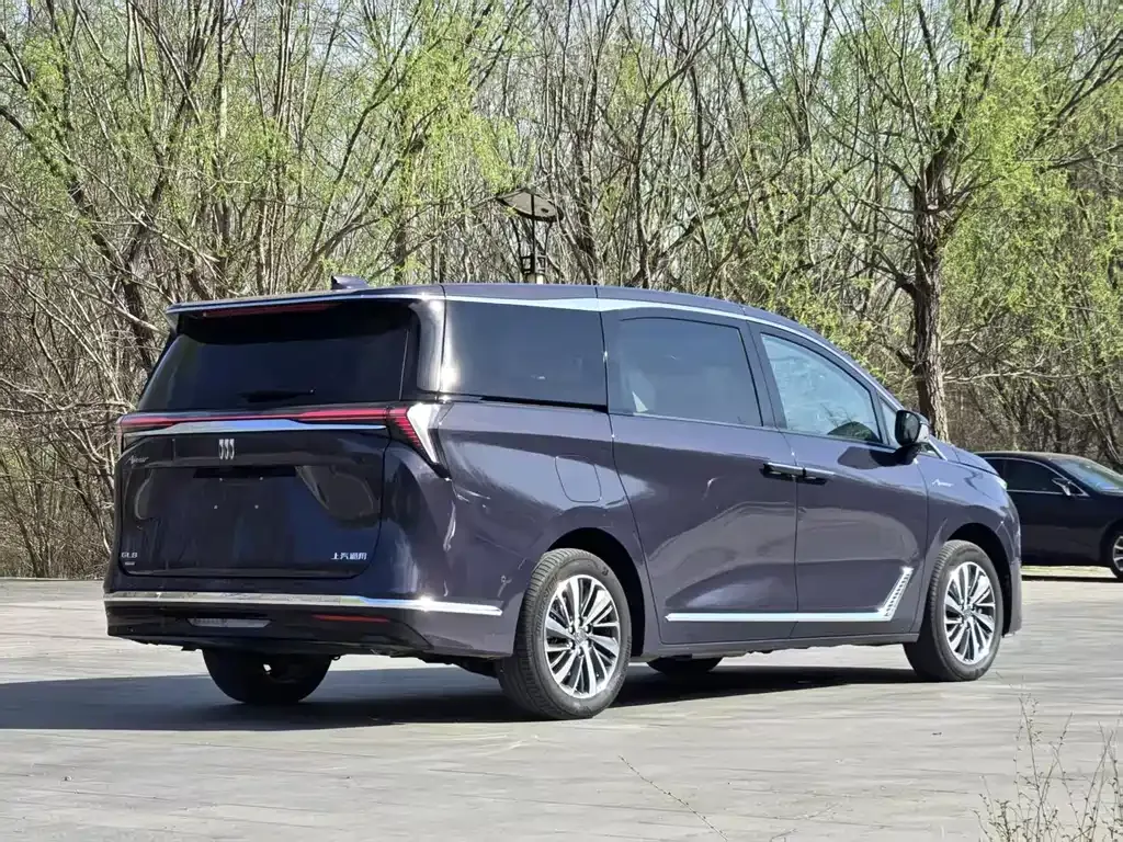 Buick GL8 Hybrid — фото 9