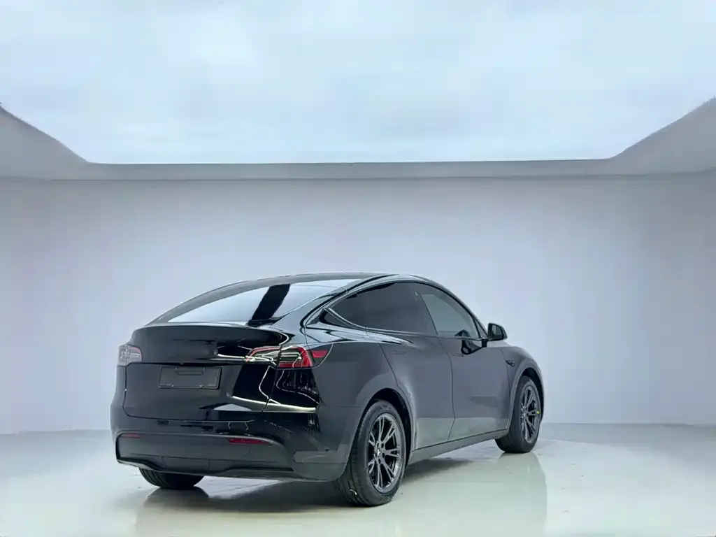 Tesla Model Y — фото 5