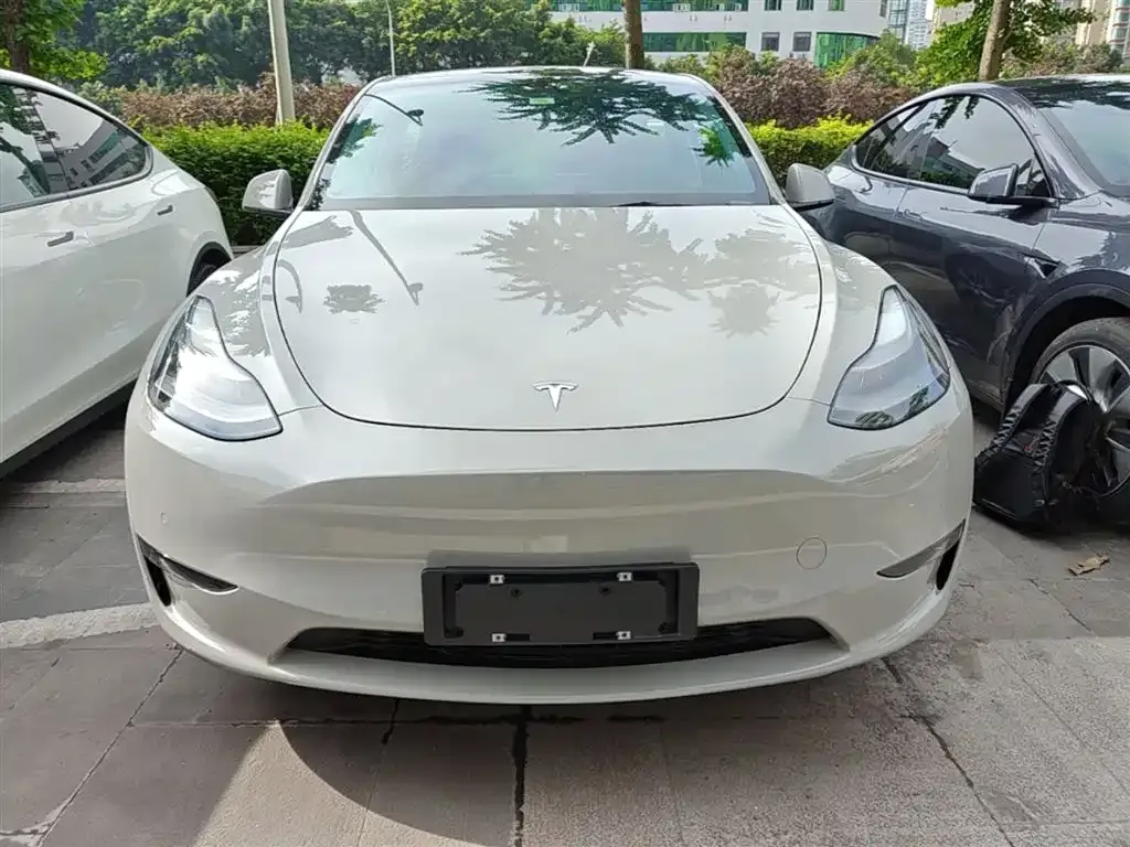 Tesla Model Y — фото 2