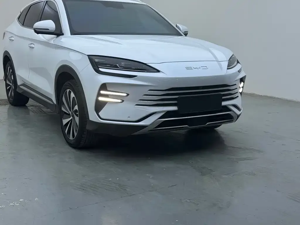 BYD PLUS New Energy — фото 1