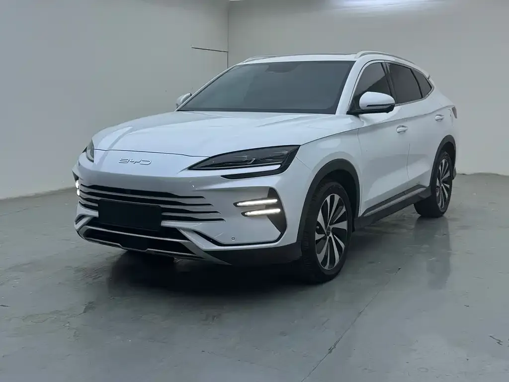 BYD PLUS New Energy — фото 3