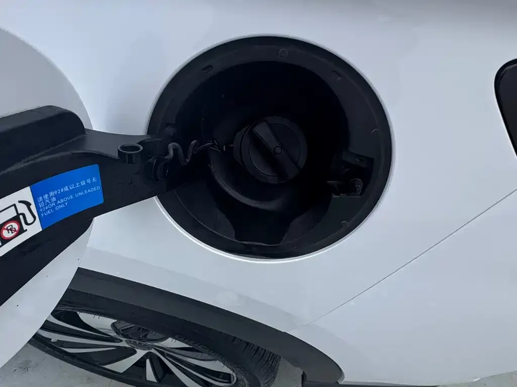 BYD PLUS New Energy — фото 4
