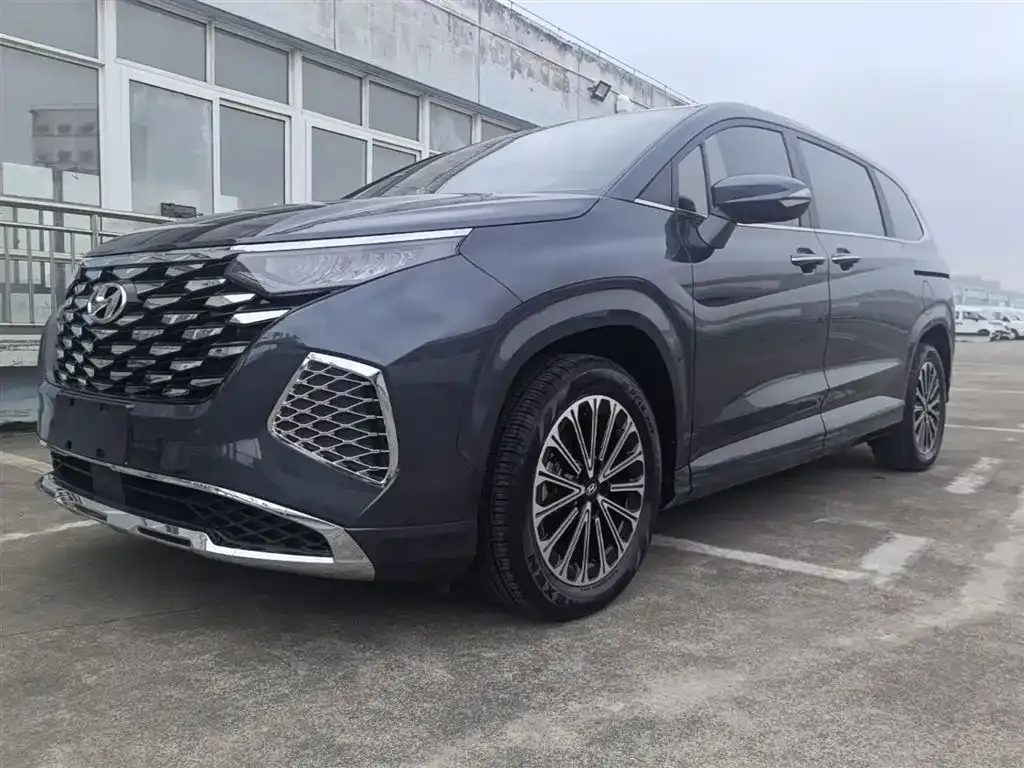 Hyundai Custo — фото 6