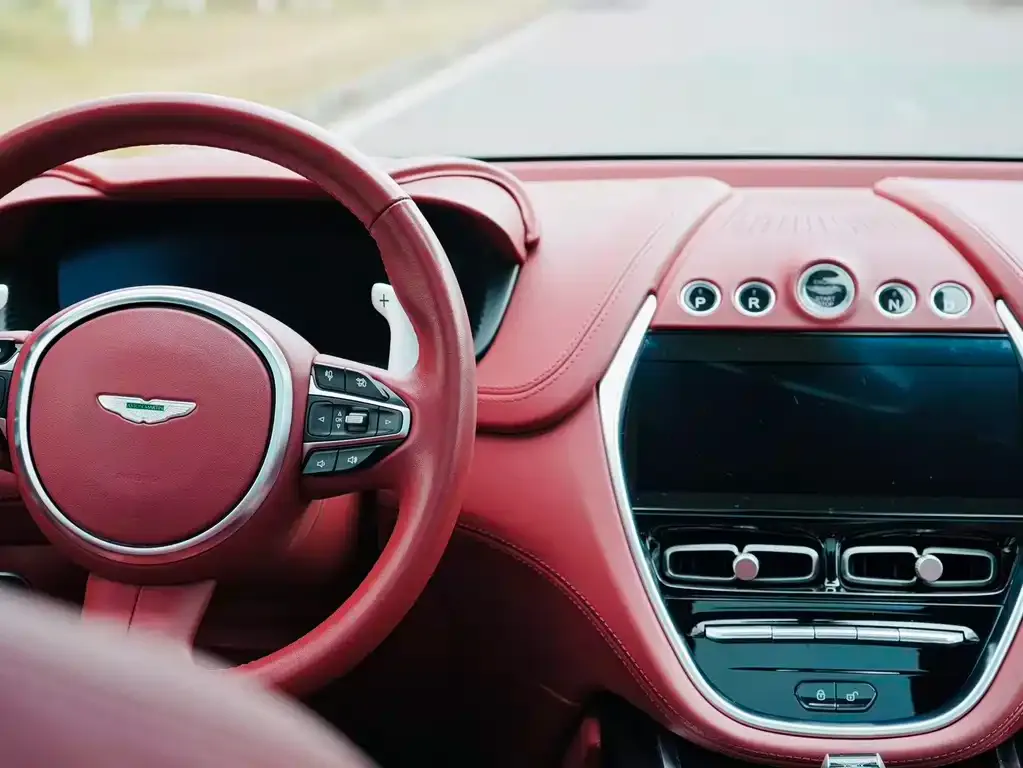 Aston Martin DBX 2022 из CN, фото 8