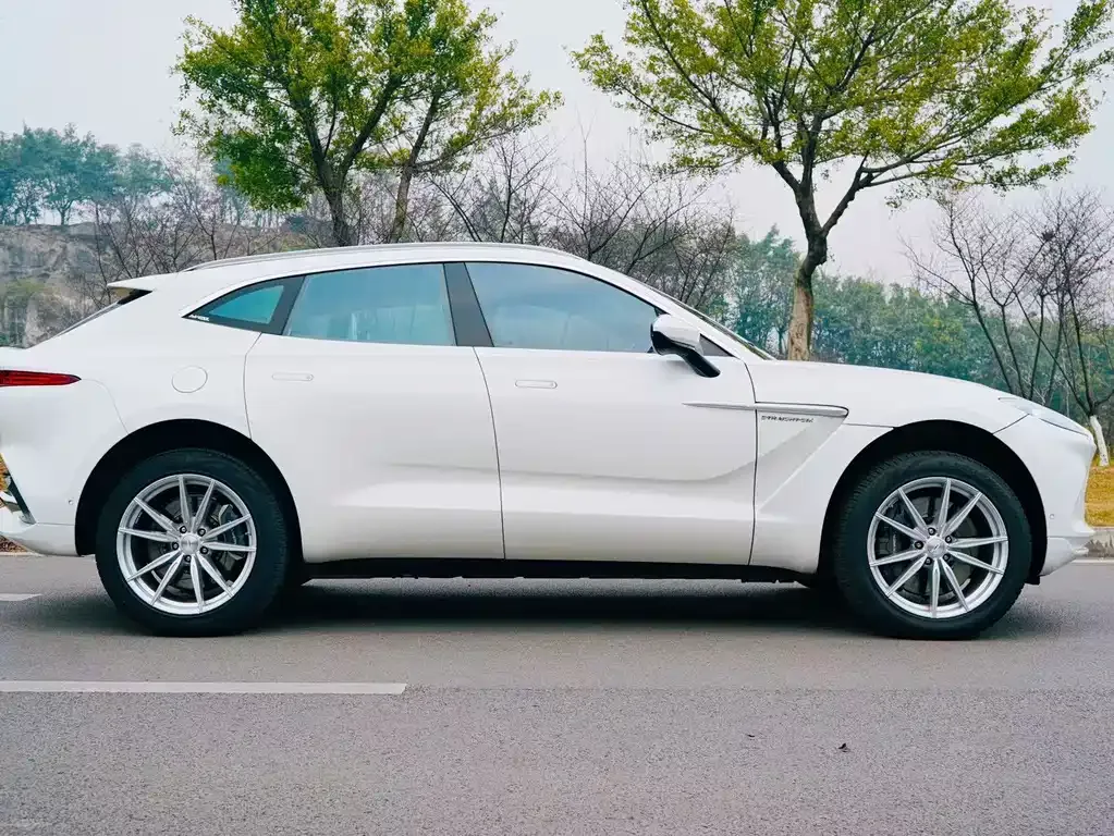 Aston Martin DBX 2022 из CN, фото 10