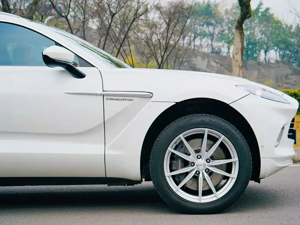 Aston Martin DBX 2022 из CN, фото 7
