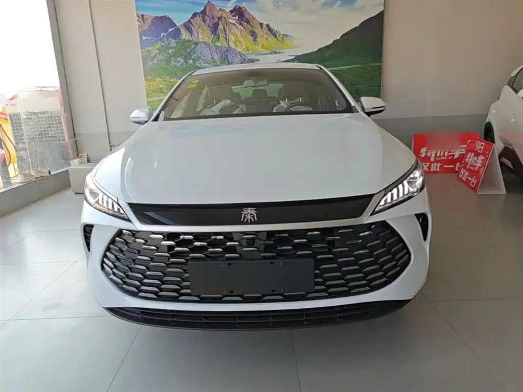 BYD Qin PLUS — фото 3