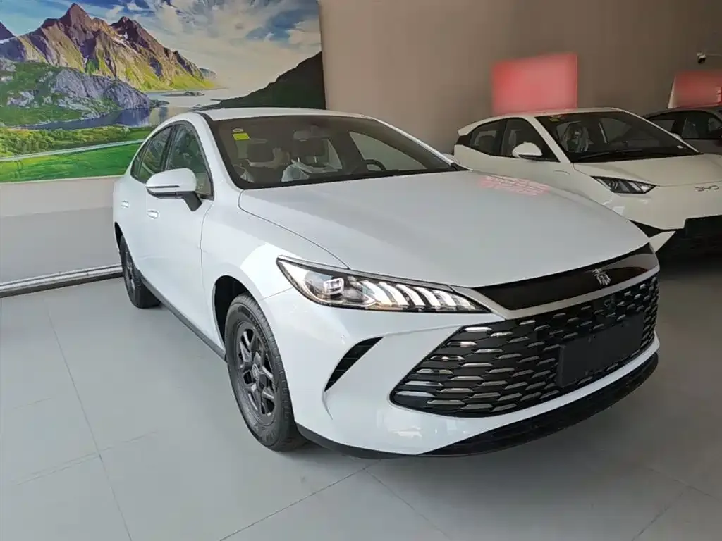BYD Qin PLUS — фото 5