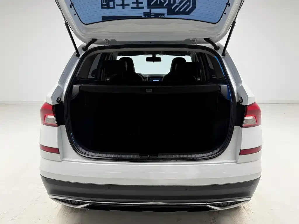 Skoda Kamiq 2024 из CN, фото 4