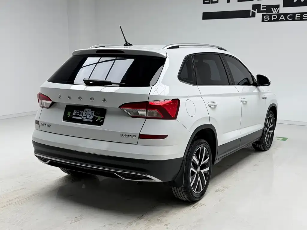 Skoda Kamiq 2024 из CN, фото 10
