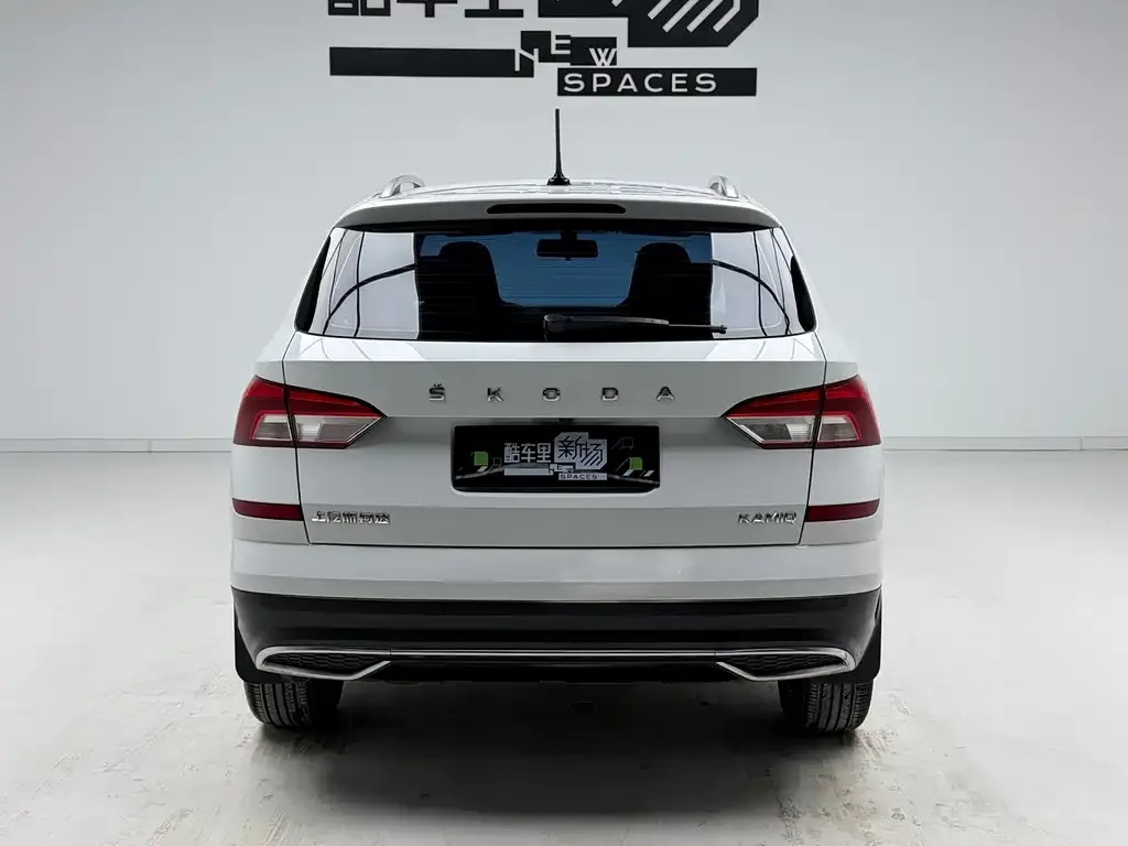 Skoda Kamiq 2024 из CN, фото 2