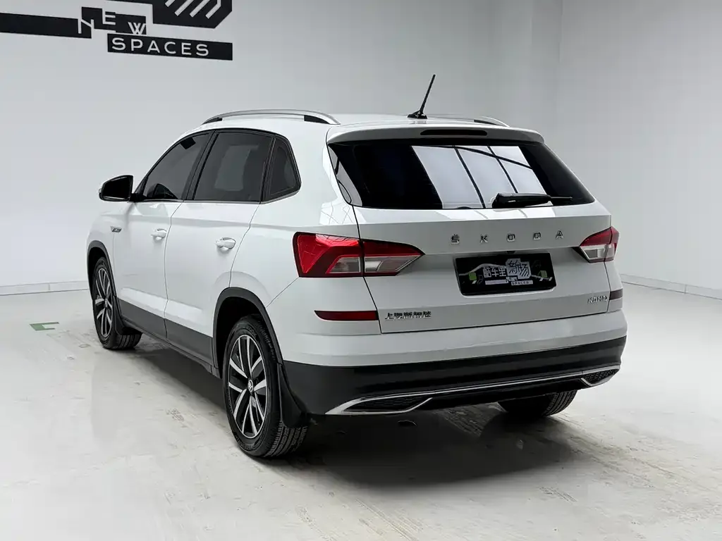 Skoda Kamiq 2024 из CN, фото 7