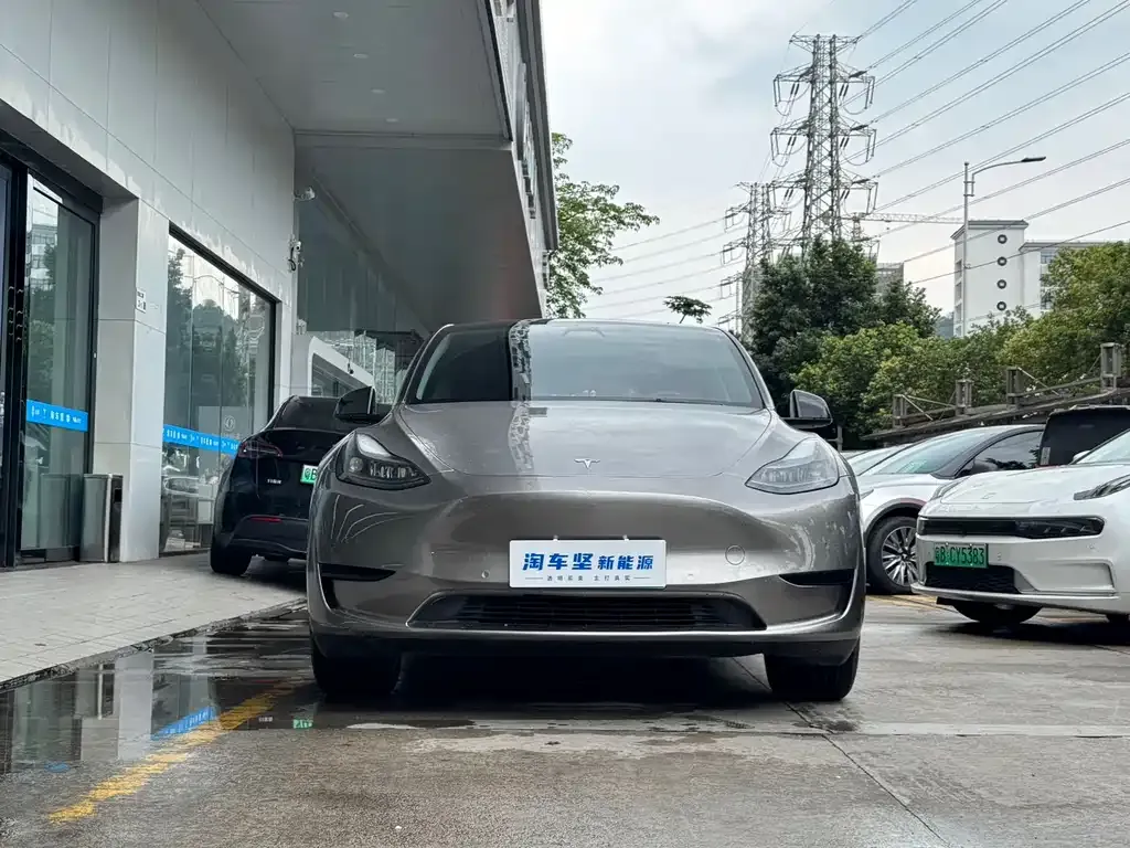 Tesla Model Y — фото 2