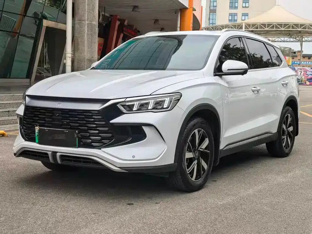 BYD Pro New Energy — фото 1
