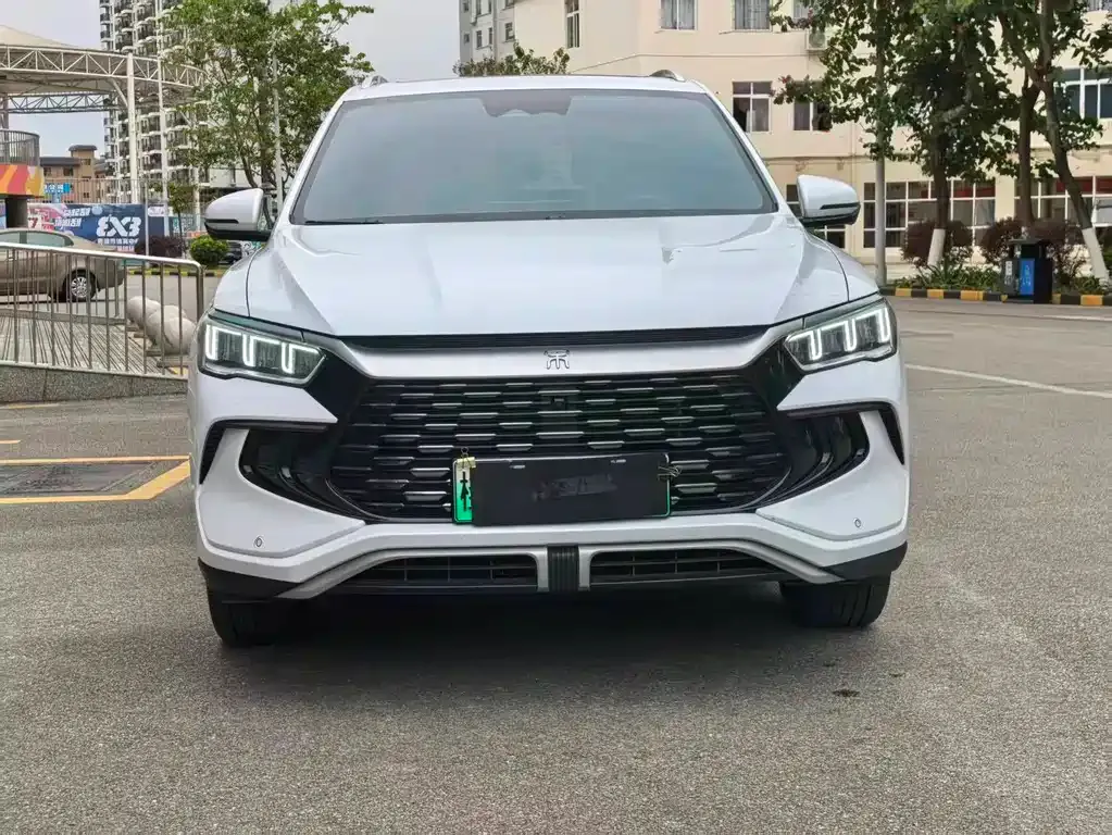 BYD Pro New Energy — фото 9