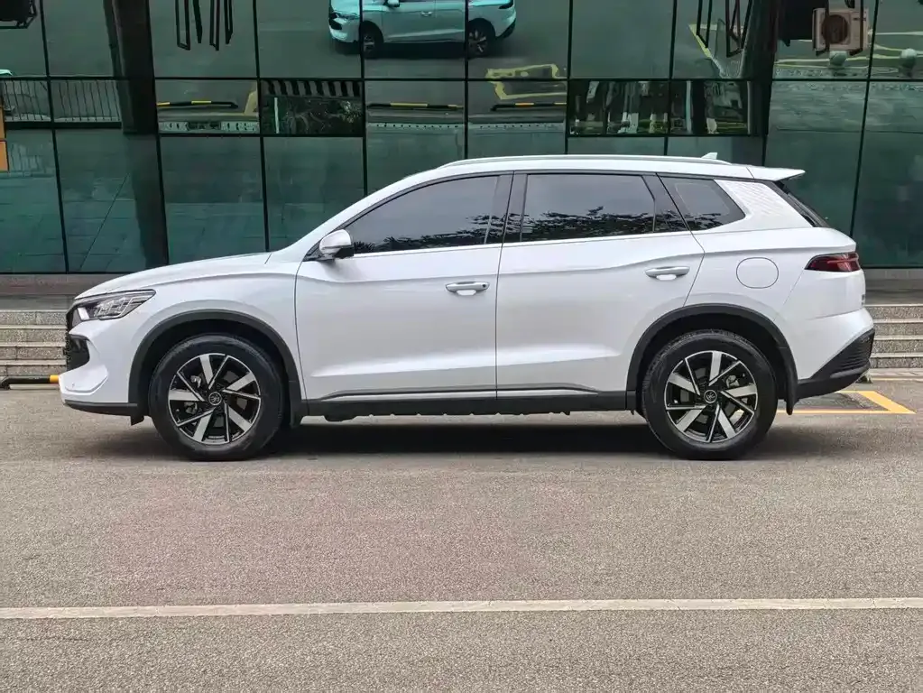 BYD Pro New Energy — фото 6