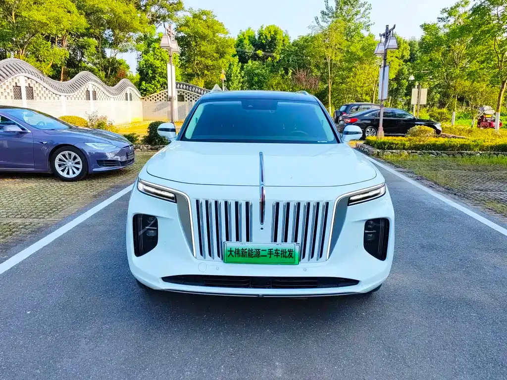 Hongqi E-HS9 2022 из CN, фото 9