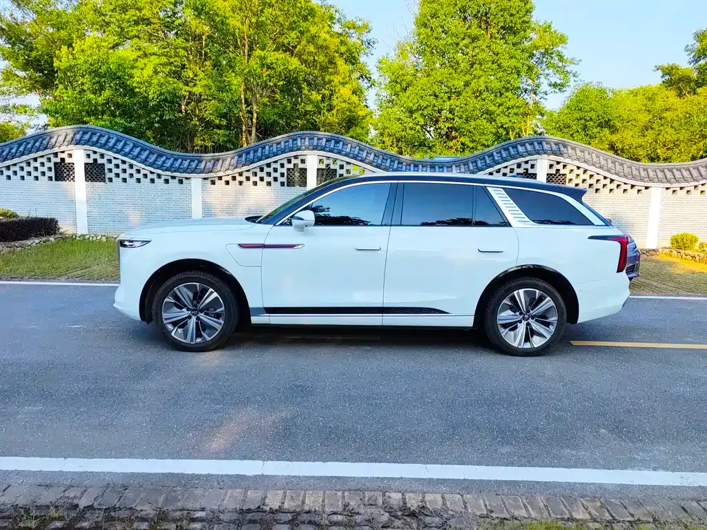 Hongqi E-HS9 2022 из CN, фото 7