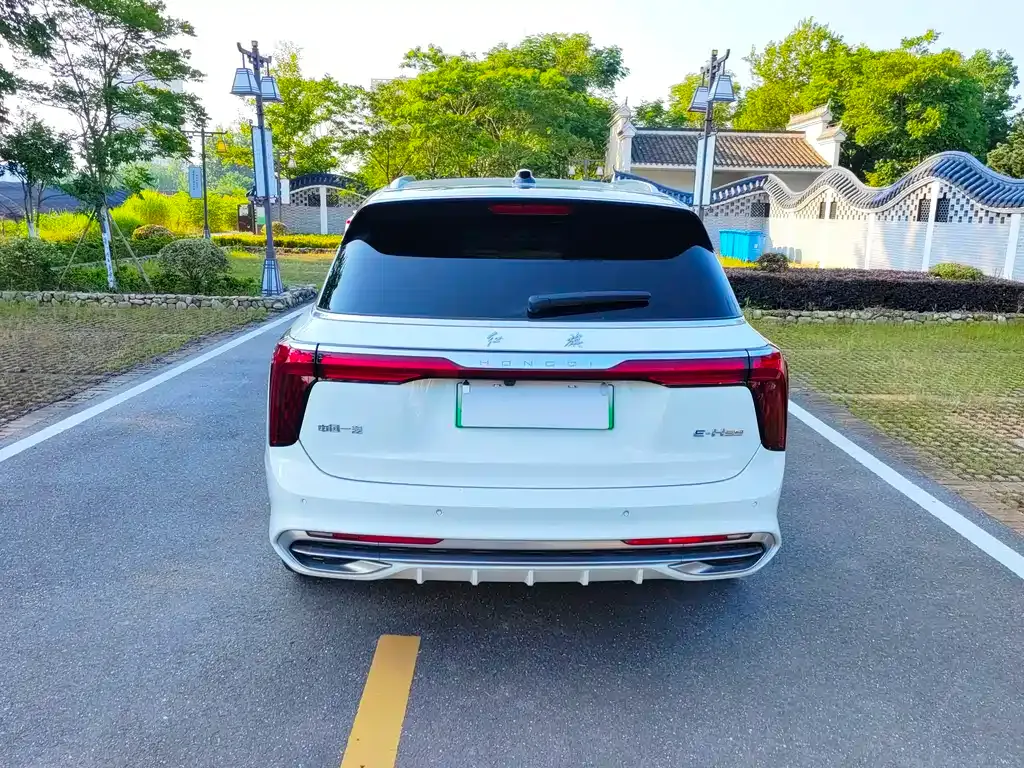 Hongqi E-HS9 2022 из CN, фото 6