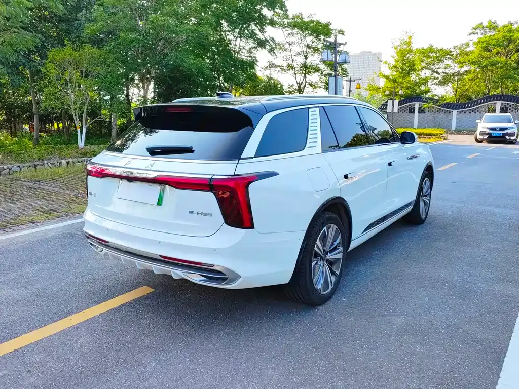Hongqi E-HS9 2022 из CN, фото 8