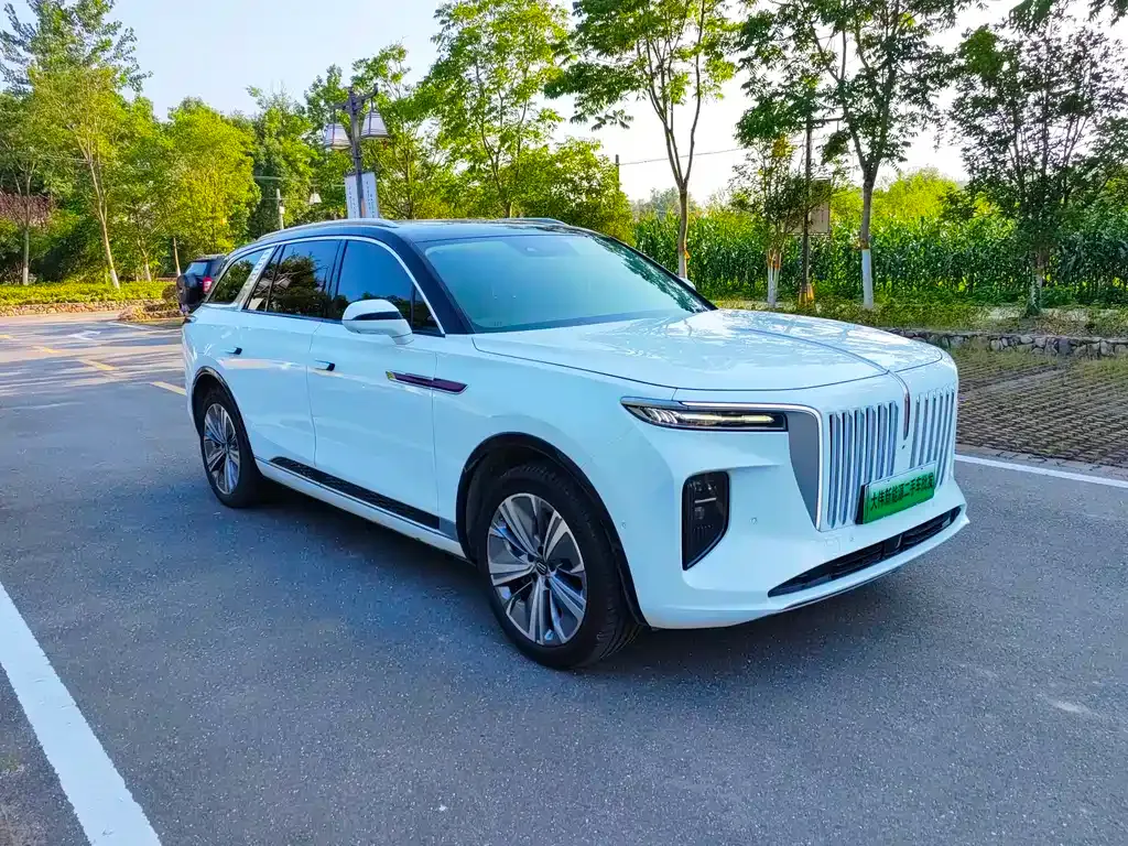 Hongqi E-HS9 2022 из CN, фото 5