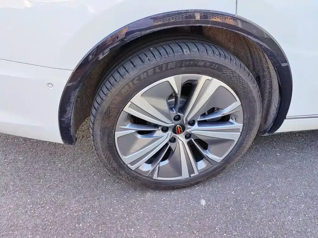 Hongqi E-HS9 2022 из CN, фото 4