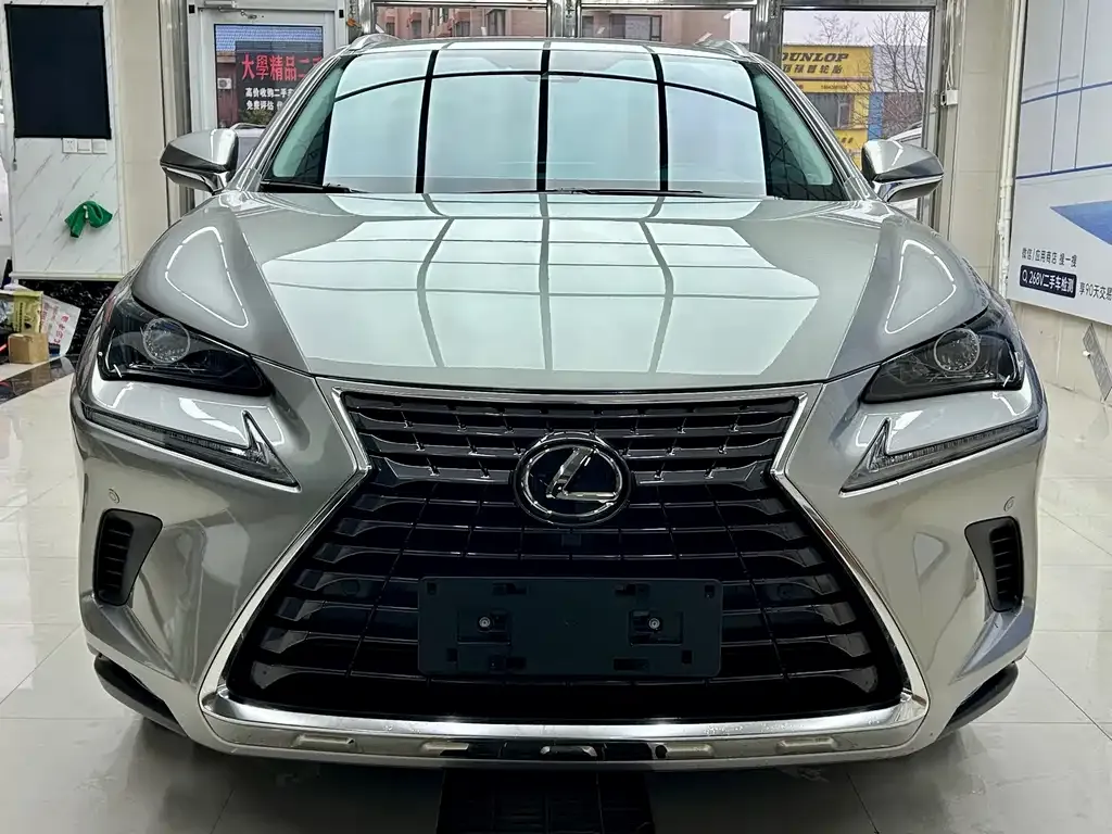 Lexus NX 2021 из CN, фото 5