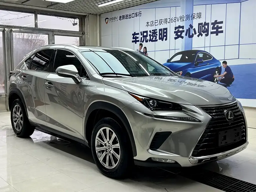 Lexus NX 2021 из CN, фото 6