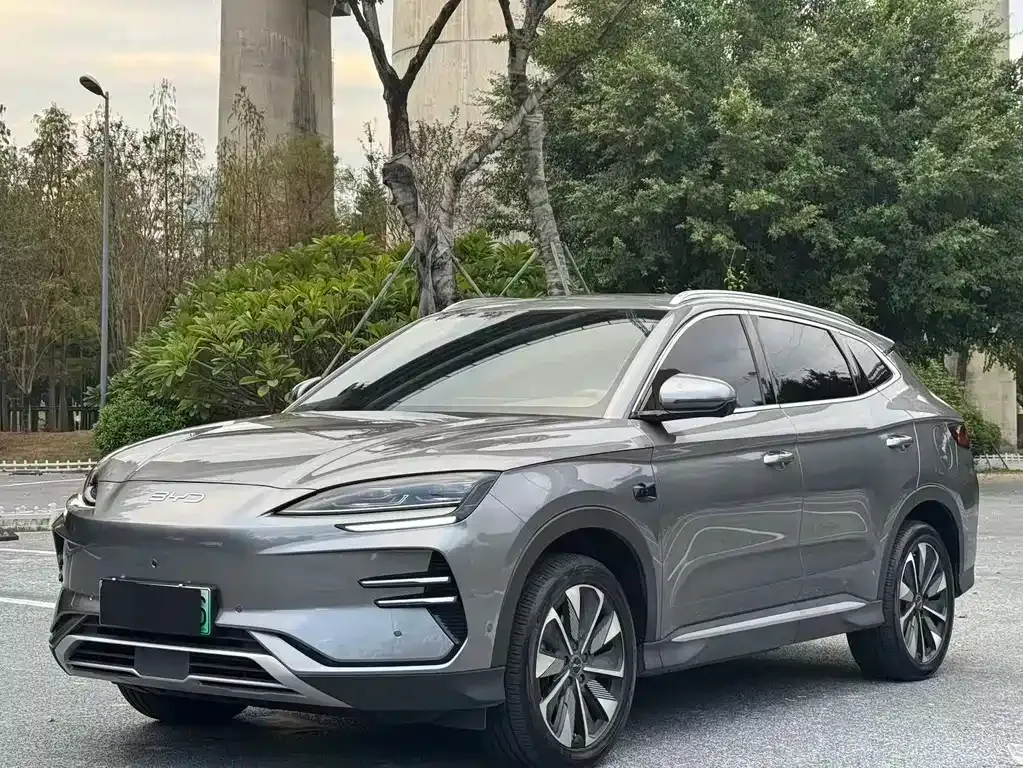 BYD PLUS New Energy — фото 1